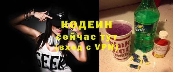 прущие грибы Козельск