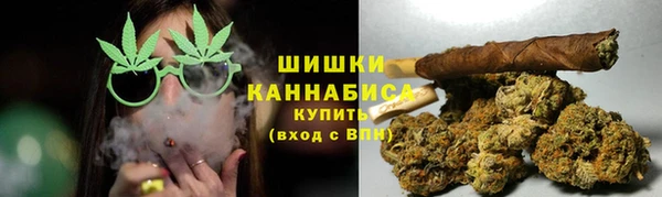 прущие грибы Козельск