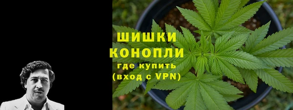 хмурый Козловка
