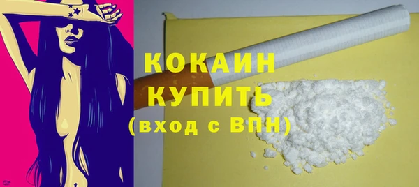 стаф Кодинск
