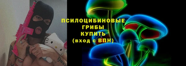стаф Кодинск