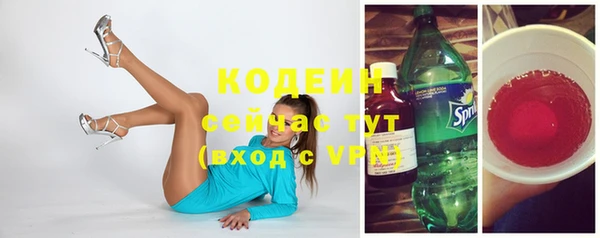 стаф Кодинск