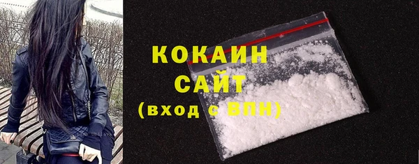прущие грибы Козельск