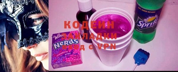стаф Кодинск