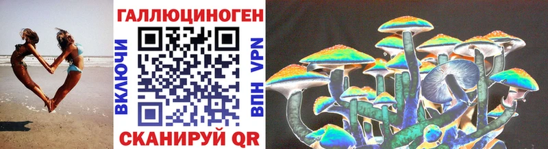 Псилоцибиновые грибы прущие грибы  где можно купить   Алейск 