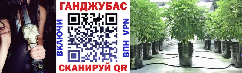дарнет шоп Алейск Каннабис план
